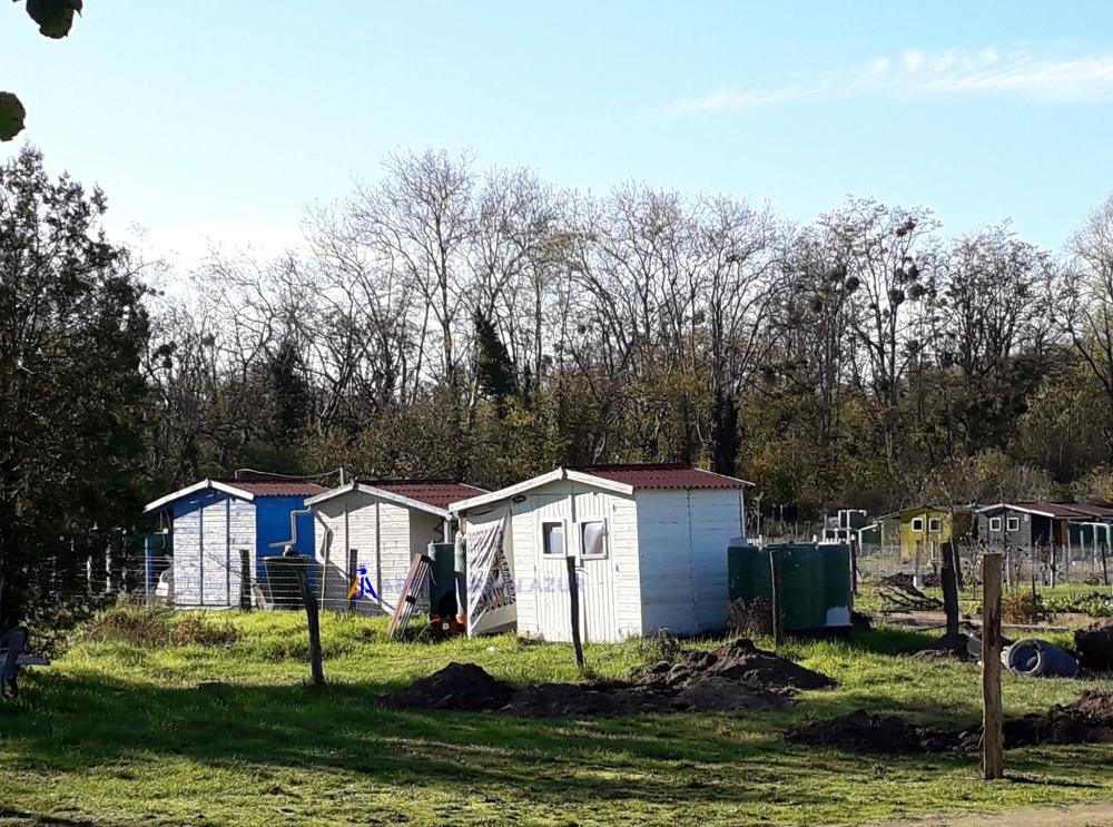 Abri de jardin avec abri à bûches - 3,36 x 1,60 m - Foresta EDEN