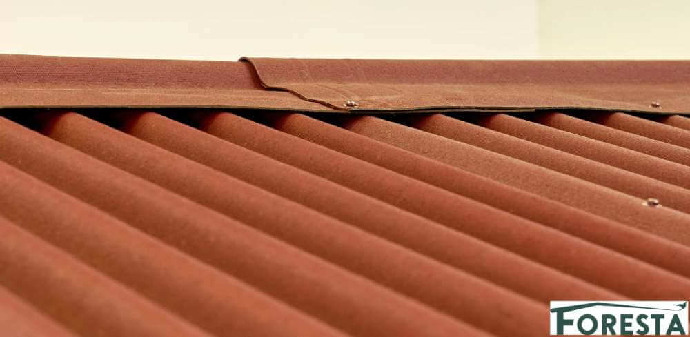 Abri de Jardin en Bois 5 m² - Foresta ALPINA