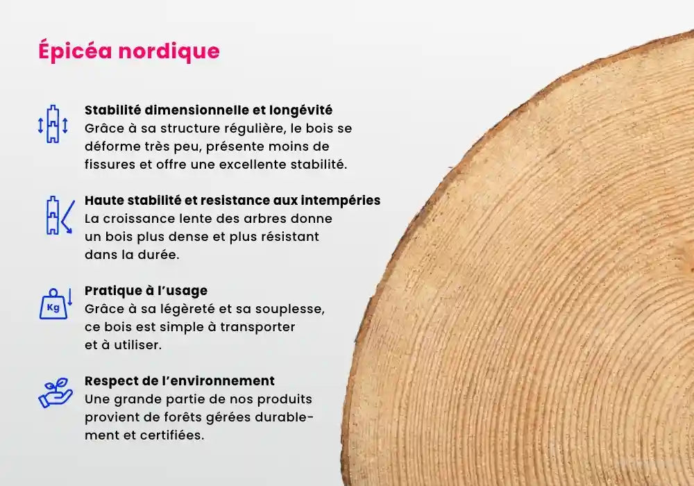 Abri de jardin pentagonal Liwa avec annexe